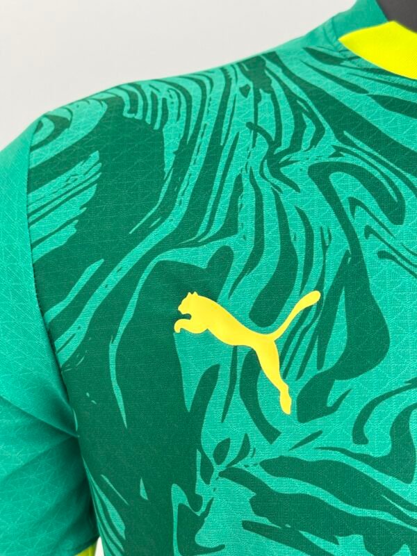 2025 Senegal Away Jersey – Green Edition - 图片 5